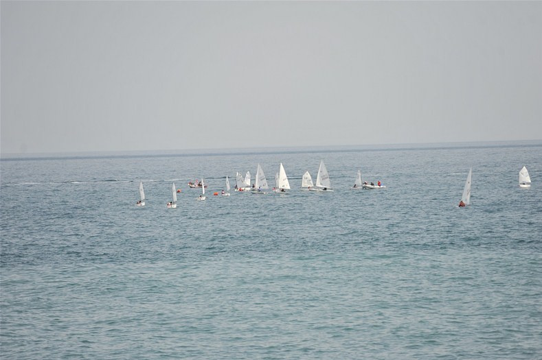 Yelken yarışları